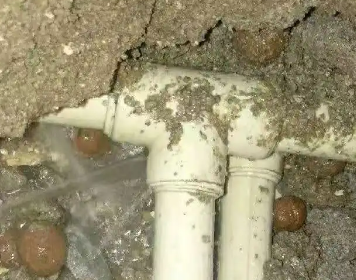 鱼峰测漏水多少钱