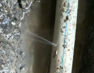 鱼峰测漏水哪家好