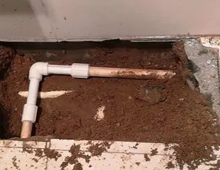 鱼峰测漏水哪家好