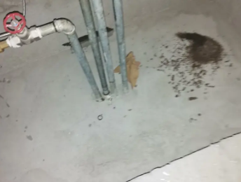 鱼峰卫生间测漏水价格明细