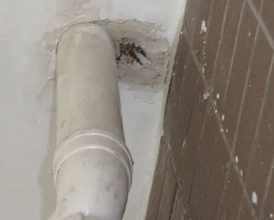 鱼峰漏水检测哪家好